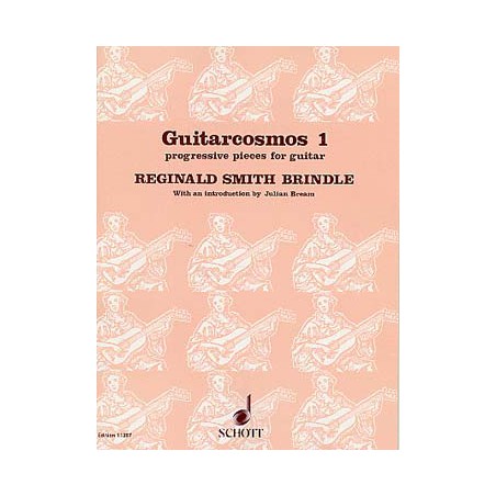 SMITH BRINDLE GUITARCOSMOS 1 ED11387