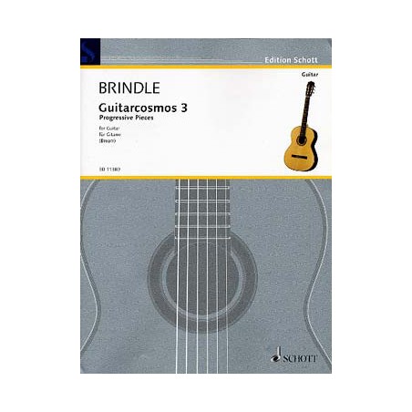 SMITH BRINDLE GUITARCOSMOS 3 ED11389