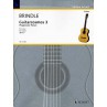 SMITH BRINDLE GUITARCOSMOS 3 ED11389