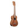 UKULELE KALA SOPRANO ACAJOU VERNI LONG NECK