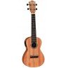 UKULELE TANGLEWOOD SOPRANO TW TUMES ELECTRO ACCORDEUR