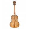 UKULELE KALA TENOR CURLY MANGO LIVRE AVEC HOUSSE 