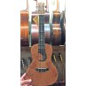 UKULELE LUNA CONCERT EXOPTIC ERABLE UKE EX MB