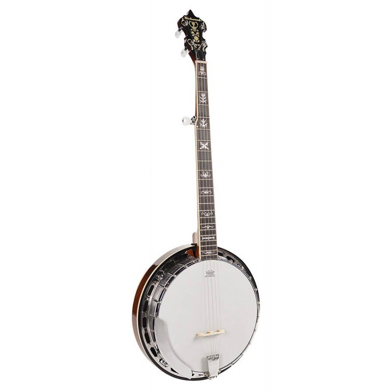 BANJO RICHWOOD MASTER SERIES 5 CORDES 