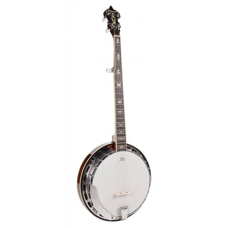 BANJO RICHWOOD MASTER SERIES 5 CORDES 