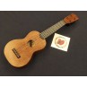 UKULELE KIWAYA SOPRANO LUNA MV-1S LTD