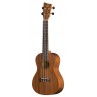 UKULELE VGS CONCERT KCO 512160