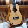 UKULELE KAMAKA CONCERT BELL SHAPE DELUX CEDRE ET KOA HAWAIIEN EN ETUI HB-2DC