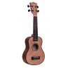 UKULELE TANGLEWOOD CONCERT TUMSTCPACK