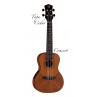 UKULELE LUNA CONCERT E/A AVEC HOUSSE UKE TAPA CDR