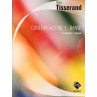 TISSERAND COULEUR JAZZ N°1 DANSE DZ3001