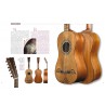 LA GUITARE ESPAGNOLE 1750-1950 EDITION CAMINO VERDE