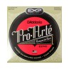 D'ADDARIO EXP45 NORMAL TENSION JEU