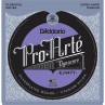 D'ADDARIO DYNACORE EXTRA HARD TITANIUM JEU EJ44TT