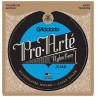 D'ADDARIO PRO ARTE HARD TENSION JEU EJ46