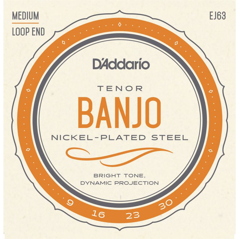 D'ADDARIO BANJO TENOR 4 CORDES JEU  EJ63