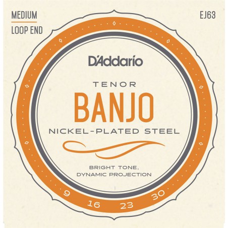 D'ADDARIO BANJO TENOR 4 CORDES JEU  EJ63