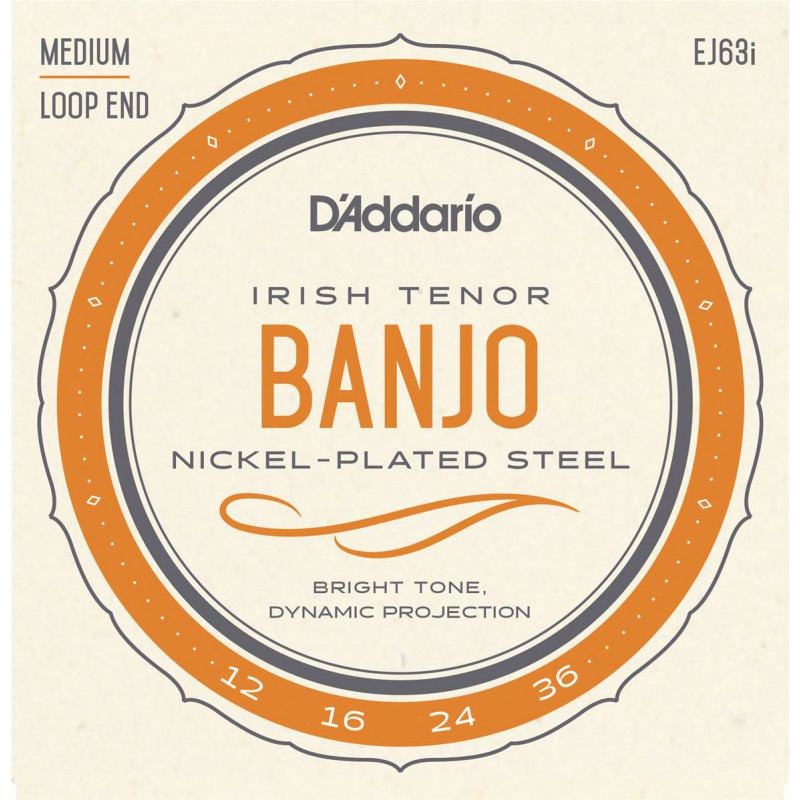 D'ADDARIO BANJO 4 CORDES IRISH TENOR  JEU EJ63I