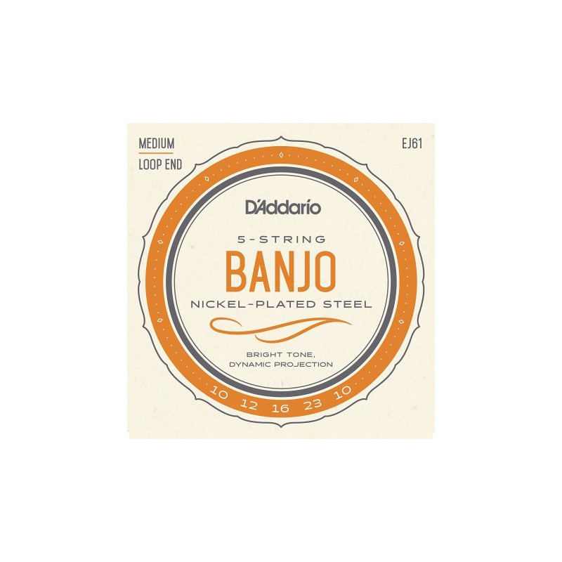 D'ADDARIO BANJO 5 CORDES JEU EJ61