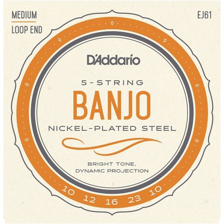 D'ADDARIO BANJO 5 CORDES JEU EJ61