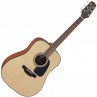 GUITARE FOLK TAKAMINE GD10NS