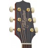 GUITARE FOLK TAKAMINE DREADNOUGHT GTA GD51CENAT