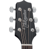 GUITARE FOLK TAKAMINE G15 DREAD CTW ELECTRO NOIR 