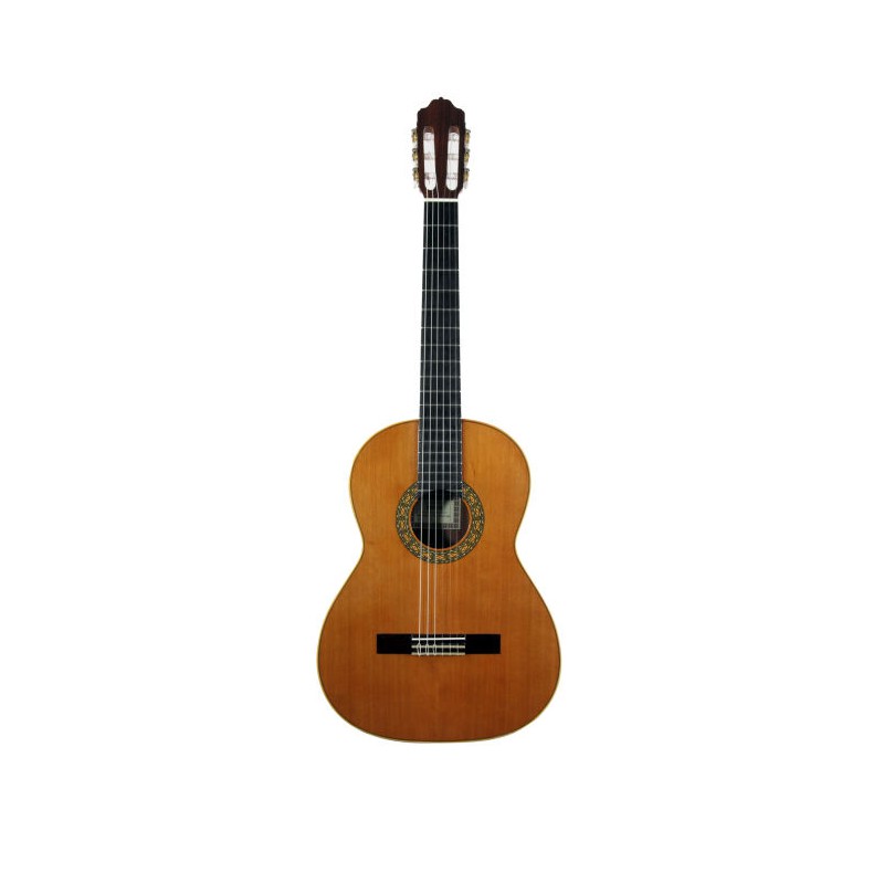 GUITARE ESTEVE MOD 1 F/E BUBINGA 