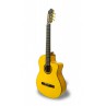 GUITARE CARVALHO FLAMENCA 5F CW E/A