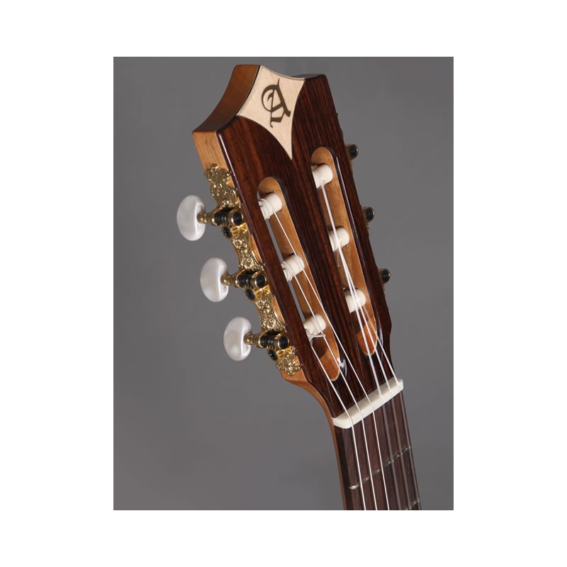 GUITARE ALHAMBRA CROSS OVER CS1 CTW E3 SERIE S ACAJOU