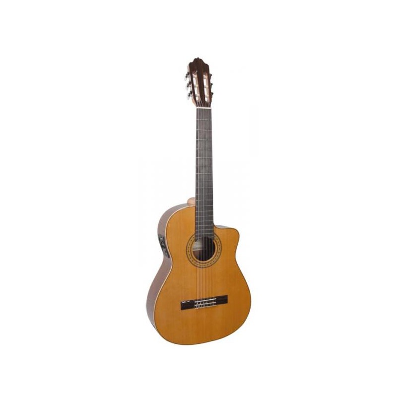 GUITARE ESTEVE GR03 ELECTRO PAN COUPÉ 15443CE 48