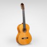 GUITARE ESTEVE 6F TABLE EPICEA 15459