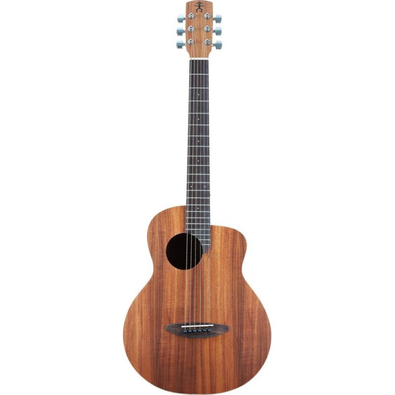 GUITARE FOLK ANUENUE DE VOYAGE M3