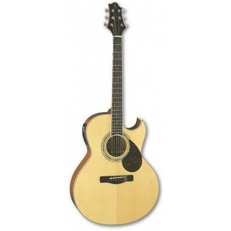 GUITARE FOLK GREG BENNETT CTW TMJ100XCE N