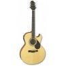 GUITARE FOLK GREG BENNETT CTW TMJ100XCE N