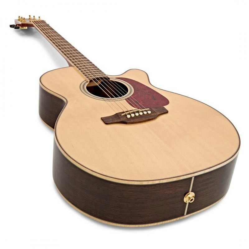 TAKAMINE AUDITORIUM EPICEA/PALISSANDRE CTW E/A GN93CENAT