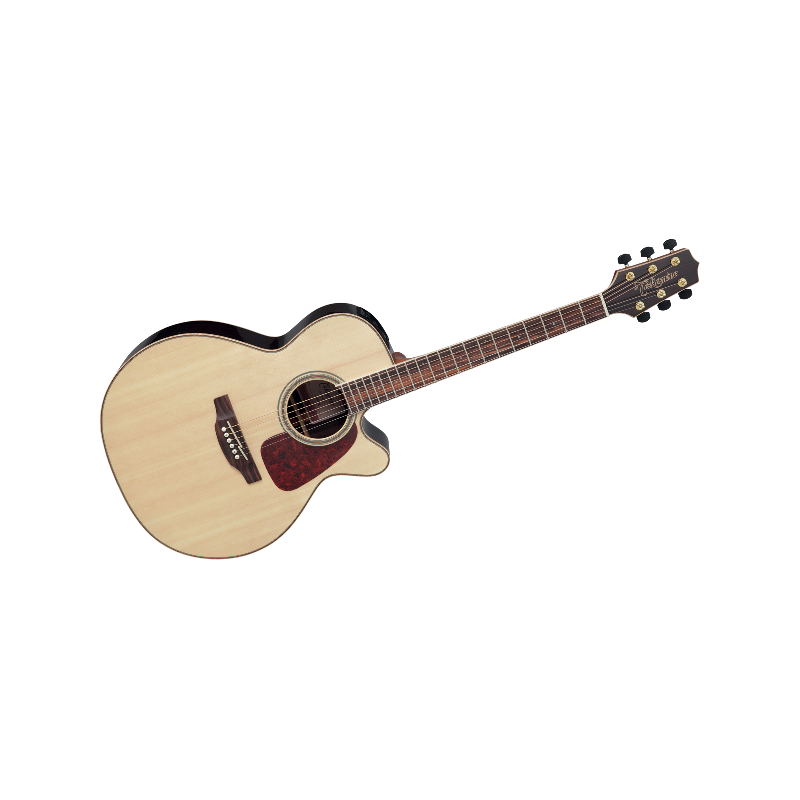 TAKAMINE AUDITORIUM EPICEA/PALISSANDRE CTW E/A GN93CENAT