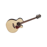 TAKAMINE AUDITORIUM EPICEA/PALISSANDRE CTW E/A GN93CENAT