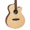 GUITARE TANGLEWOOD DREADNOUTH GAUCHER TW9LH