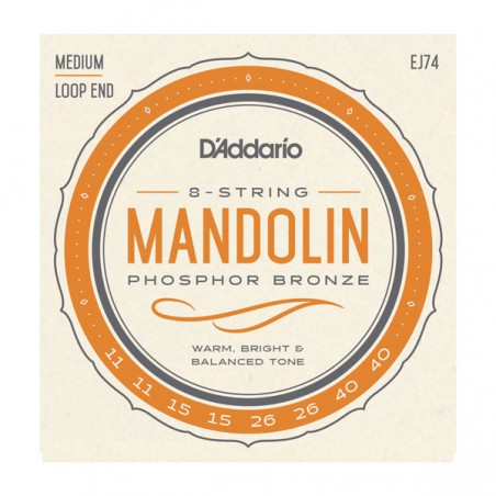 D'ADDARIO MANDOLINE PHOSPHOR BRONZE 11/40 EJ74