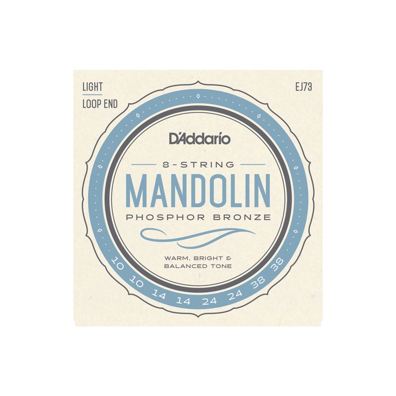 D'ADDARIO MANDOLINE PHOSPHORE BRONZE 10/38 EJ73