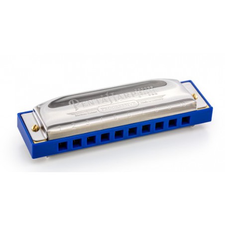 HARMONICA HOHNER PENTA HARP RE D MINEUR 210/20 