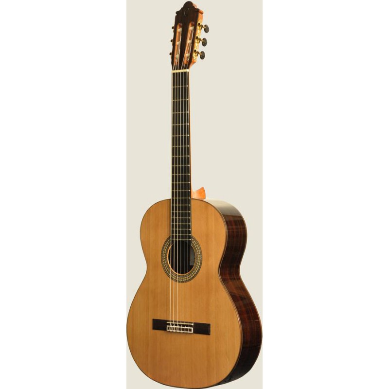 GUITARE CAMPS M6C CEDRE