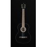 GUITARE PRODIPE PRIMERA 3/4 BK 