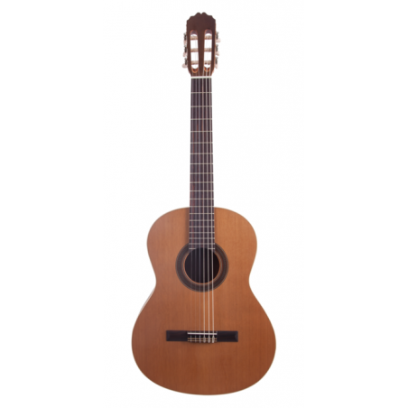 GUITARE PRODIPE STUDENT 1/2