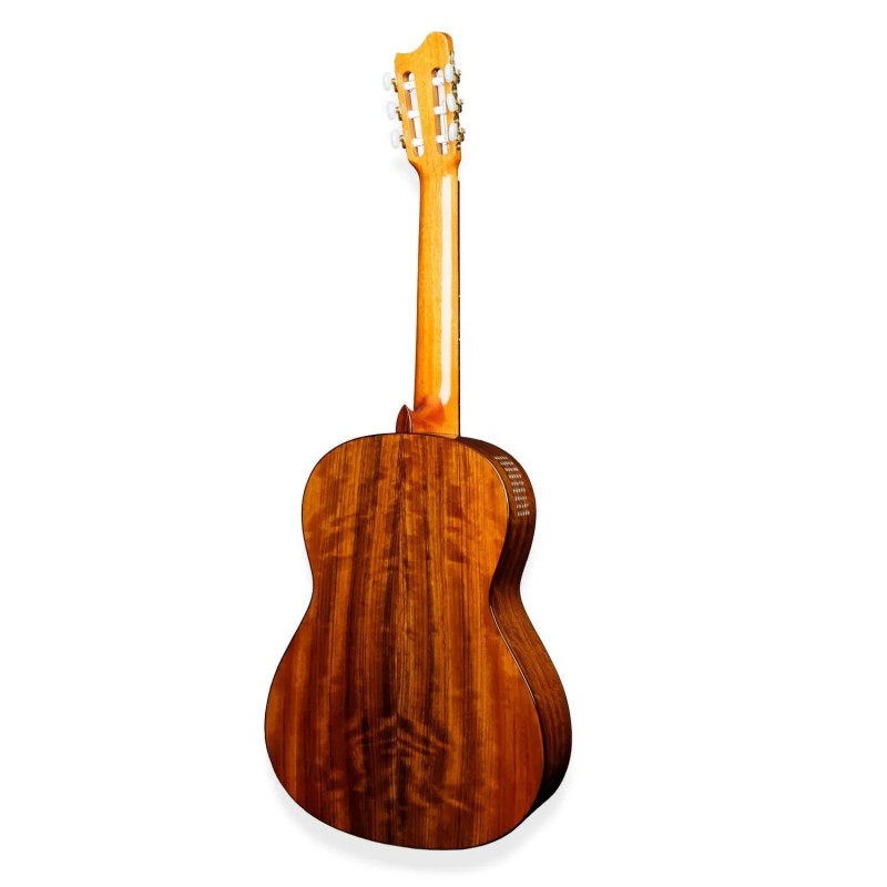 GUITARE AMANO CEDRE 10C