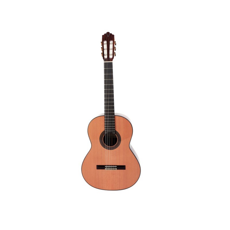 GUITARE CLASSIQUE PRODIPE SOLOIST 900