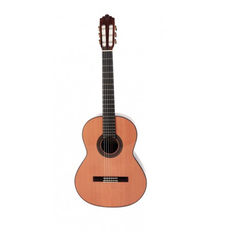 GUITARE CLASSIQUE PRODIPE SOLOIST 900