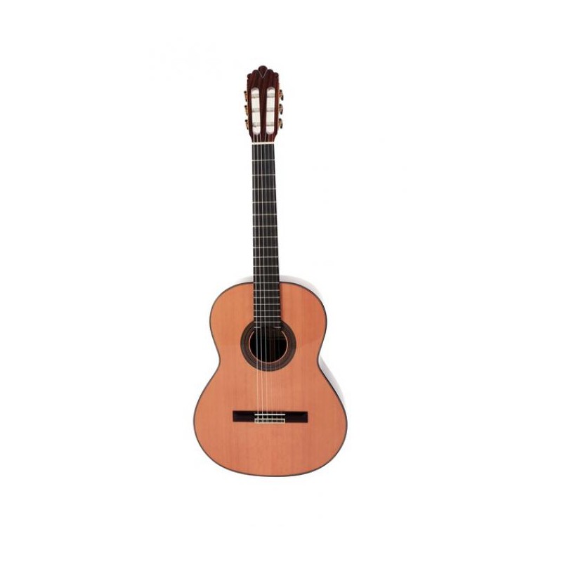 GUITARE CLASSIQUE PRODIPE SOLOIST ROSEWOOD 900R 