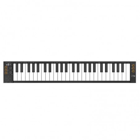 CARRY ON PIANO MIDI CONTROLLER 49